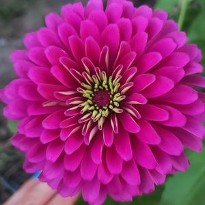 Meet your Posher, Jackie